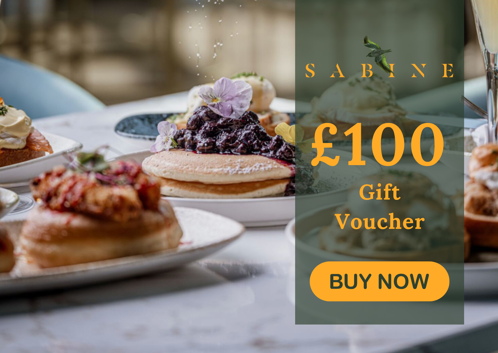 Sabine £100 Gift Voucher